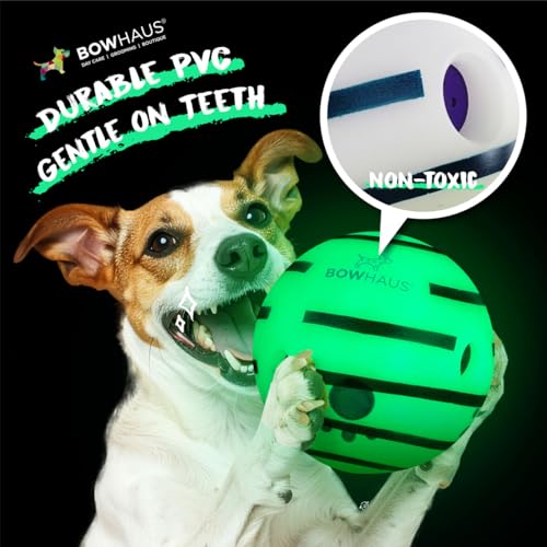 BOWHAUS Giggle Glow in The Dark Ball for Dogs, 5.5 Inch Interactive Dog Exercise Toys, Indestructible Fun Squeaky Chew Toy, Non-Toxic Durable PVC Chew Ball for Indoor Outdoor Play - Thumbnail 4