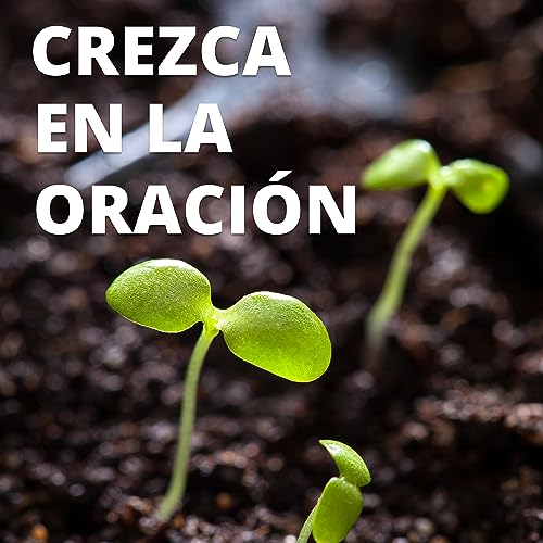 Permanecer en Cristo