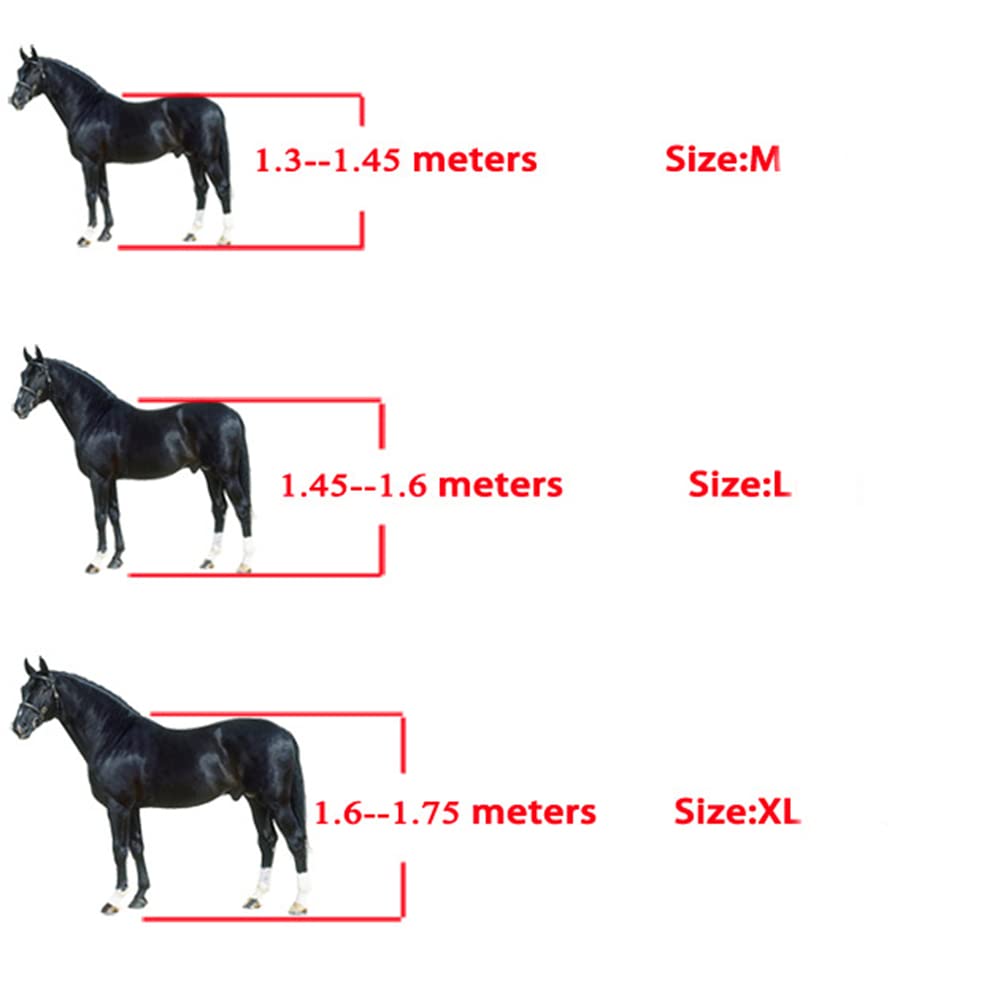 Lot de 2 guêtres de sport équestre, bottes de saut pour cheval et poney – Équipement de protection des jambes avant – Matériau absorbant les chocs et respirant – L