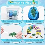 Bigear Dinosaure Oeufs Excavation Dig Kit: Panier de Pâques multicolore Stuffs avec 12 Dinosaures uniques - Sciences de l'excavation des oeufs de dinosaure STEM Jouet pour les garçons & Filles, Anniversaire/Cadeaux de Pâques/Cadeaux de classe