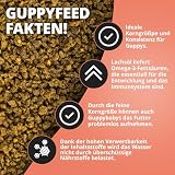 NatureHolic Guppyfutter feines Softgranulat I Fischfutter Aquarium | Hauptfutter I Gesundheit und Farbenpracht I schonende Herstellung I Made in Germany I 30g