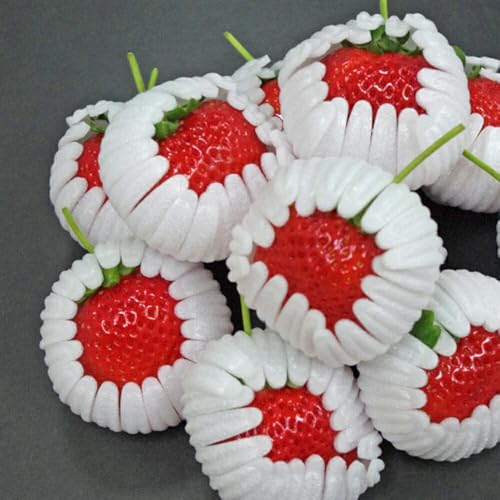 y\tE1蔭\z F{Y Ђ̂   iN (1kg/1) SݓXɒ It[c F{Yuh uЂ̂vN̑I琬d˂ĂłAF{ւ鎩M v[g ʕMtg