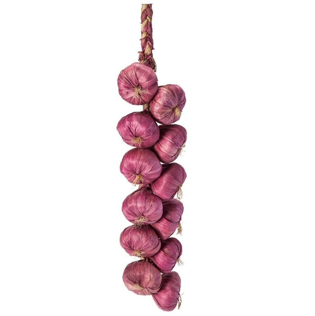Froiny Brown Artificial Onion Strings Simulation Vegetable Hanging Ornament Wall Fake Vegetables Skewers Decoration Photography Props