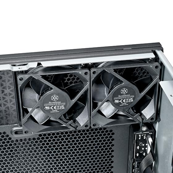 Silverstone Technology RM53-502, Châssis serveur Rack 5U Avec Double baie 5,25" et Prise en Charge du radiateur 360 mm, SST-RM53-502
