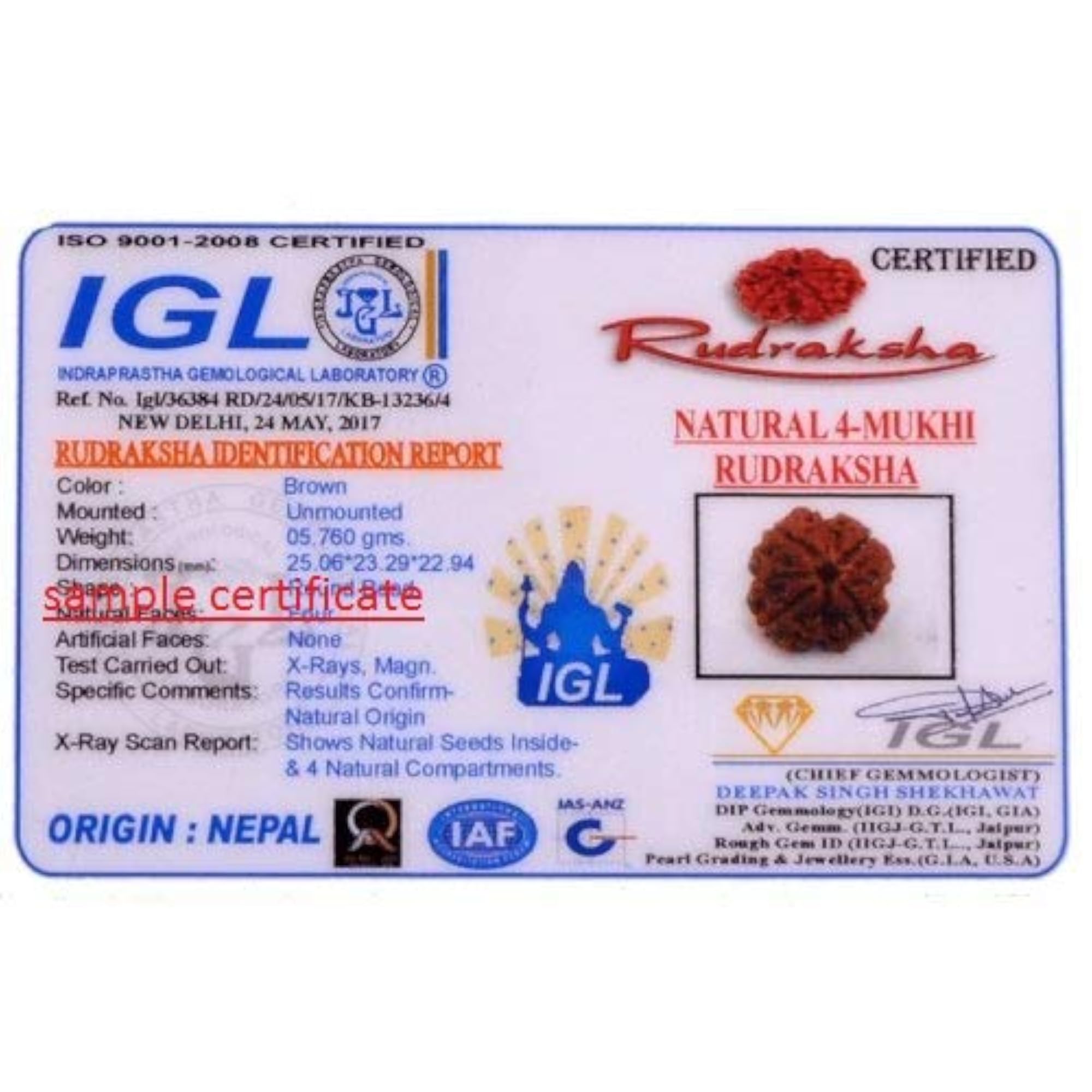4 Mukhi Fine Quality Nepal Rudraksha by Lab Certified