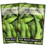 Sow Right Seeds - Chiba Green Soybean Seeds for Planting - Non-GMO Heirloom Packet with Instructions to Plant Vegetable Garden - Old Fashioned Bush Variety for Edamame - Wonderful Gardening Gift (2)
