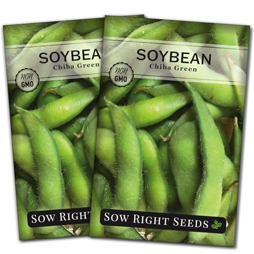 Sow Right Seeds - Chiba Green Soybean Seeds for Planting - Non-GMO Heirloom Packet with Instructions to Plant Vegetable Garden - Old Fashioned Bush Variety for Edamame - Wonderful Gardening Gift (2)