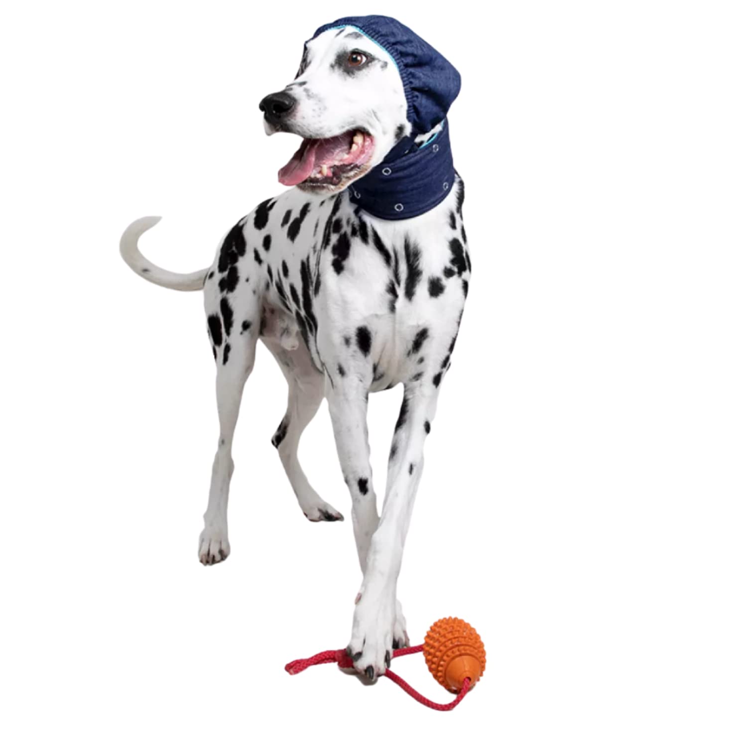 MPS Medical Pet Shirt, Head Cover for Dogs Small, Blue - Image 3