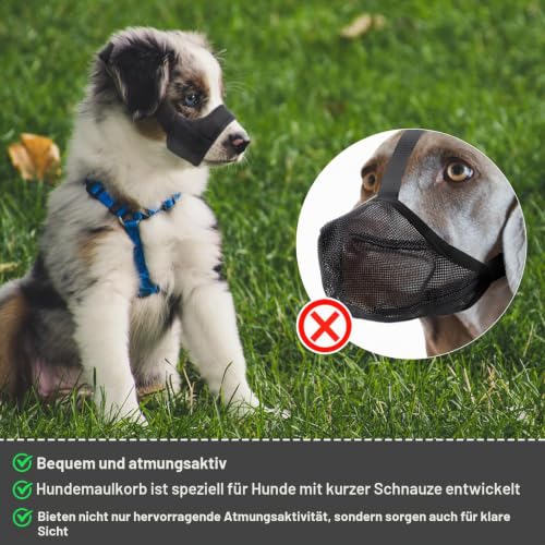 PEUTIER Maulkorb für Hunde mit Kurzer Schnauze, Maulkorb für Kleine und Mittelgroße Hunde Weich Maulkorb Gegen Beißen und Bellen Dog Muzzle für Chihuahua Hiromi Shih Tzu, Schnauzenumfang 10,8-14cm