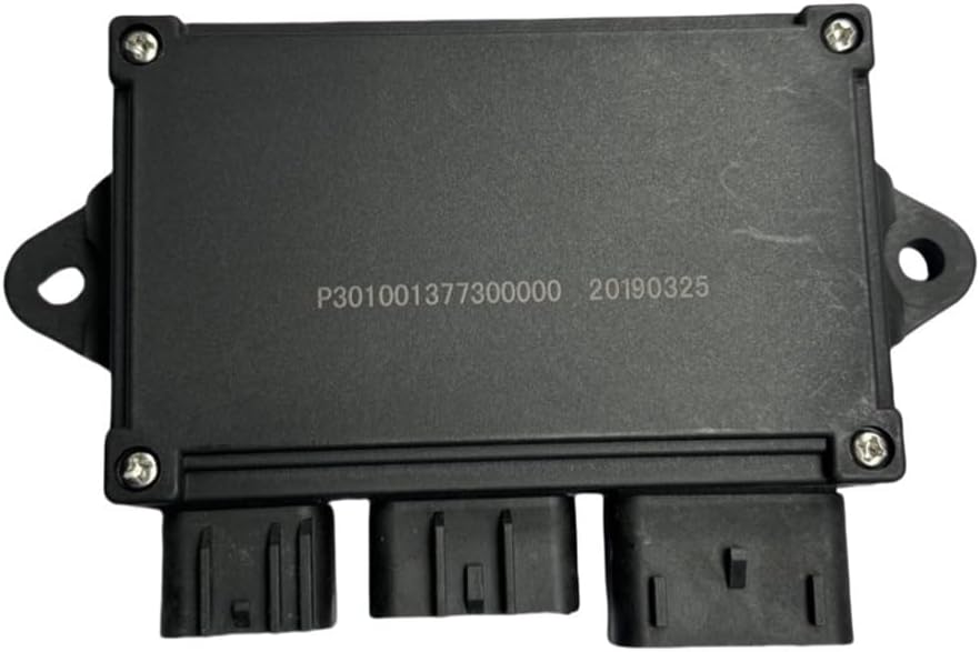 Combination Fit For HS250 ATV P301001377300000