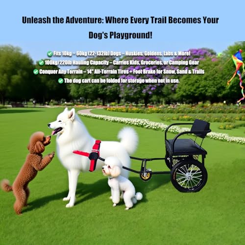All-Terrain Hundezugwagen mit Fußbremse, Abnehmbarer Anhänger & Sitz für Hunde bis 10-60kg (22-132lb). Mit Zuggeschirr für Camping, Wandern und Outdoor-Aktivitäten(Size:40-60kg,Color:Große Hunde)