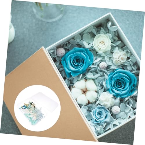 Kit DIY de Flores Secas STOBAZA 17x11.5 cm miniatura 7