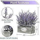 Zoom IMG-1 briful lavanda artificiale in vaso Zoom IMG-1 briful lavanda artificiale in vaso