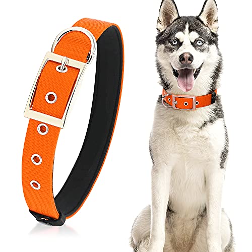 Collares Perros de Caza Marca PZRLit