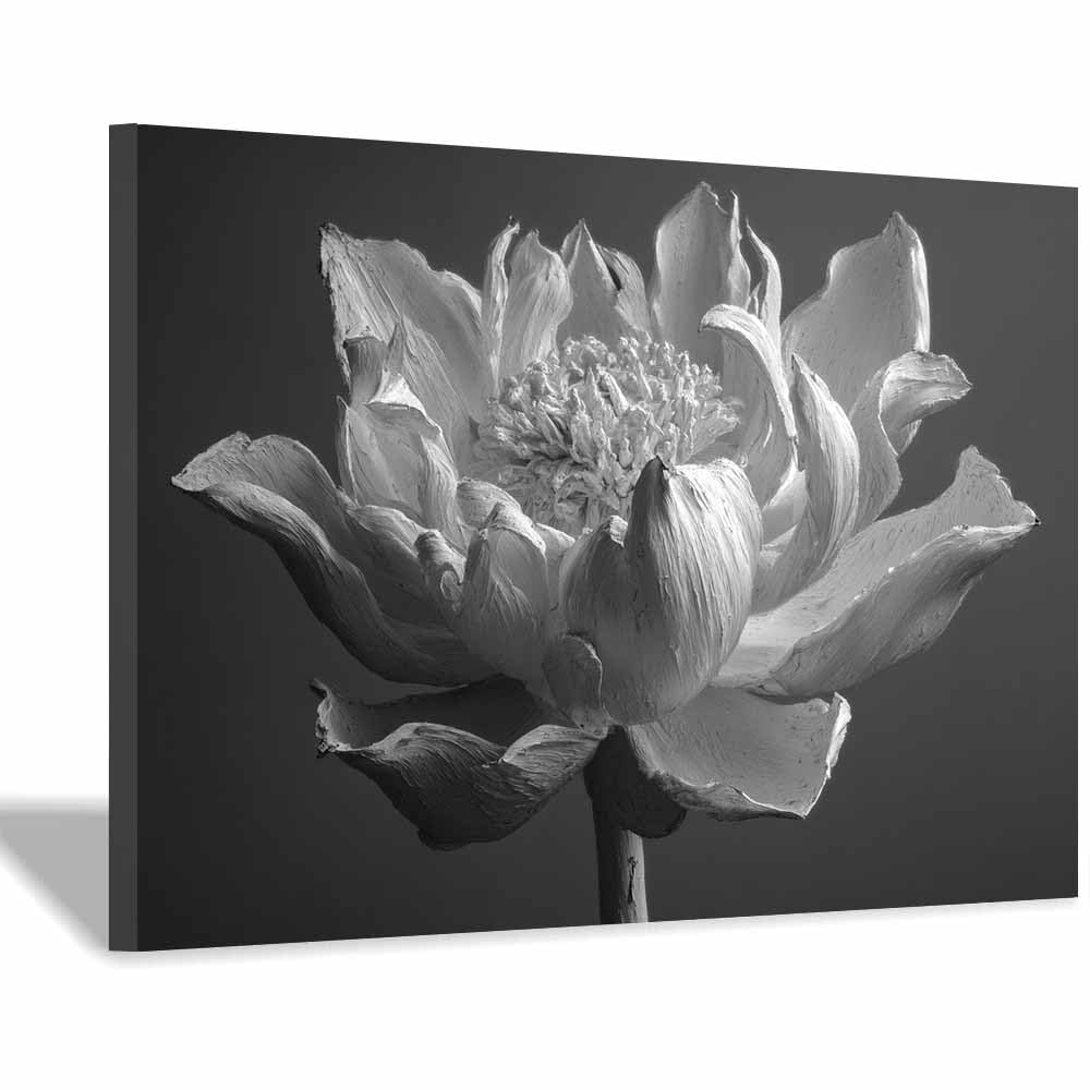 ZAMAEIU Landscape Wall Art withsered Lotuss Pose Modern Canvas Print On Artwork, Suitable for living room, bedroom, for Kids Room Decoretc.(black and white)-50x70cm Framed