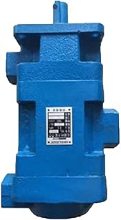 Hydraulic Vane Pump, YB1 Oil Pump, YB1-6 YB1-10/16/4/20/25/40/50/80/100 Single and Double Pump MINGPING (Color : YB1-32-50/2.5-10)