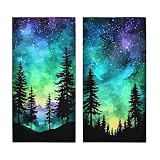 HLDBS Aurora Hand Towels Highly Absorbent Borealis Light Northern Lights Sky Forest Bathroom Kitchen Towels Set of 2 Face Towels for Bathroom Gym Hotel Sport Decor Gifts for Women Man 14"x28"