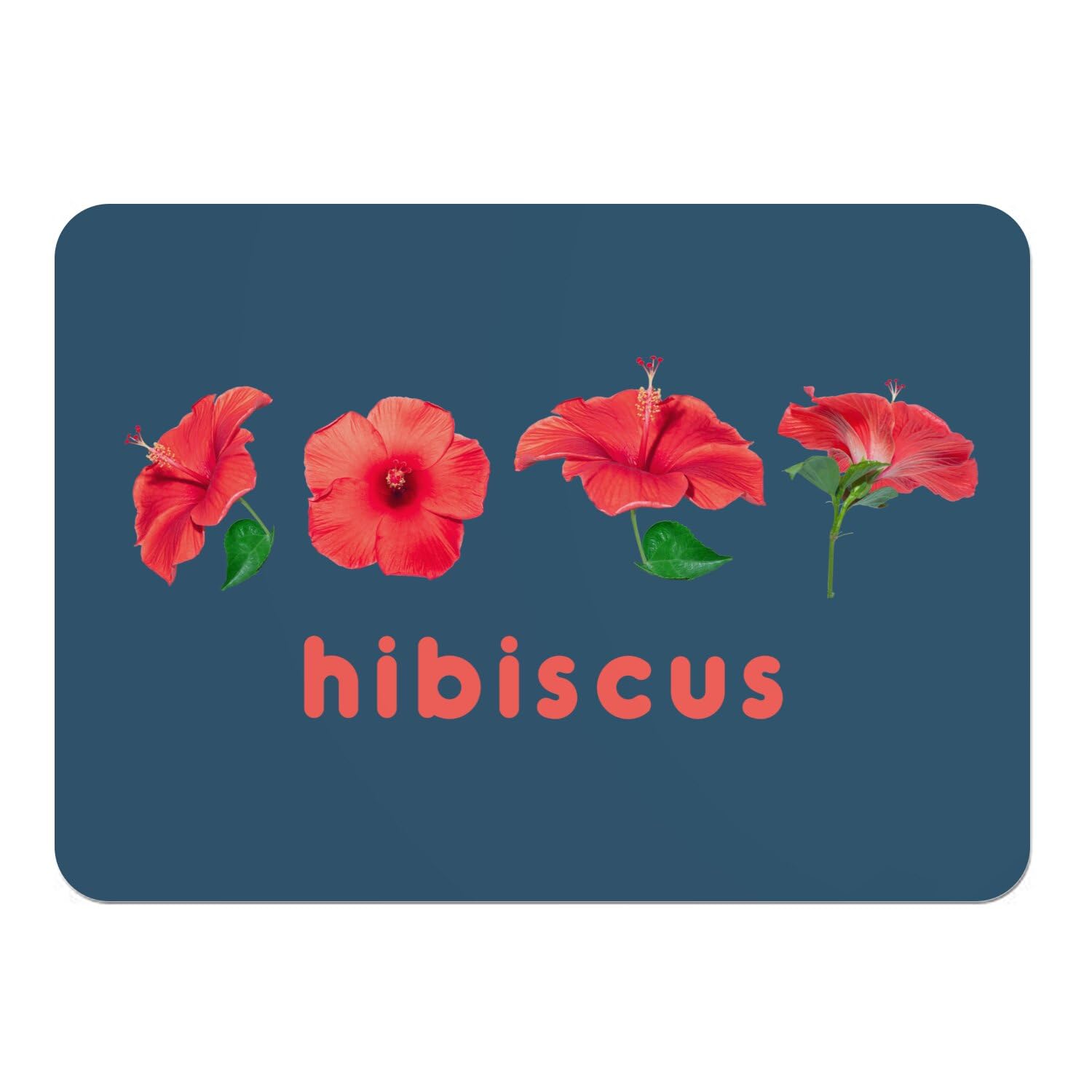 Napperons en liège anti-rayure et anti-tache bleu motif fleurs d'hibiscus lot de 4