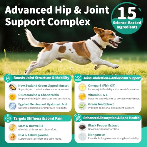POPPAW Advanced Dog Joint Supplement – 15-in-1 Glucosamine for Dogs with Chondroitin, MSM & Green Lipped Mussel – Hip & Joint Pain Relief Mobility Chews, Chicken Flavor, 90Ct Breeds — view 4