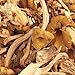 Chanterelle Mushrooms, 1.5oz pack of Dried Chanterelle Mushrooms, Perfect Dried Mushrooms for Culinary Creations and Specialty Recipes, Ideal for Enhancing Every Dish with Authentic Gourmet Taste