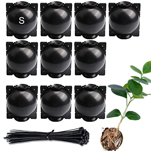 Lazzineer Tree Root Growing Box Air Layering Propagation Pods for Woody Plants Reusable Transparent Rooting Device for Magnolia Fig Citrus & Roses (10pcs Small 39mm Branches)