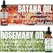 AKBAN Rosemary Oil & Raw Batana Oil for Hair Growth Organic Promotes Hair Thickness, Pure and Natural Hair Oil for Hair and Scalp, 1 fl oz + 1fl oz