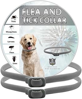 BKEPDY Hundehalsband 2 Stück Effektiver Schutz vor Ungeziefern Wasserdicht Einstellbares Floh und Zeckenschutz für Hunde Alle Größen und Rassen (Grau) product image