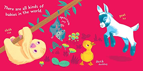 Becker's - 93081K School Supplies Indestructibles Book Set - Babies, (Set of 6)
