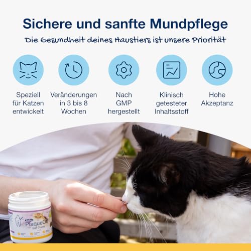 ProDen PlaqueOff Katzen Zahnpflege Snacks, Dose mit 120 Leckerli, natürliche Zahnpflege Katzen, Katzensnacks bei Plaque und für frischen Atem, Leckerli Katze Zahnbelag entferner