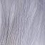 Silverlook