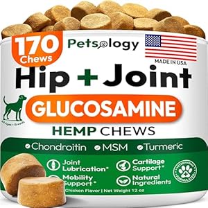 Hemp Hip and Joint Supplement for Dogs – Glucosamine for Dogs – 170 Mobility Support Chews – Advanced Joint Pain Relief Treats with Chondroitin, MSM, Turmeric – Large & Small Breeds – Made in USA