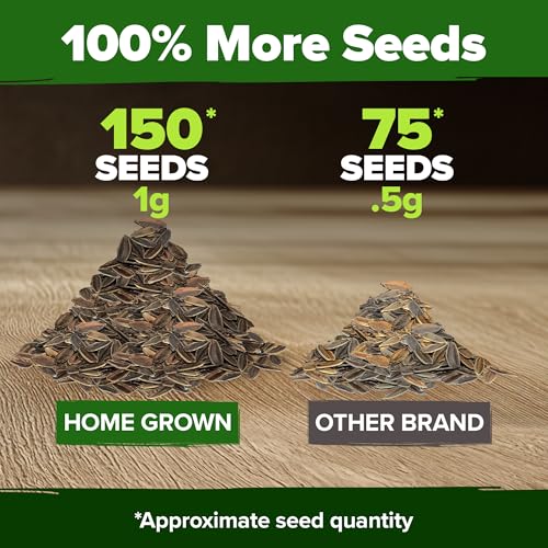 Image of HOME GROWN Will Rogers Zinnia Seeds - 150 Zinnia Flower Seeds for Planting Outdoors - Tall Zinnia Elegans Cut Flowers - Heirloom Non-GMO Zinnia Seeds for 2026