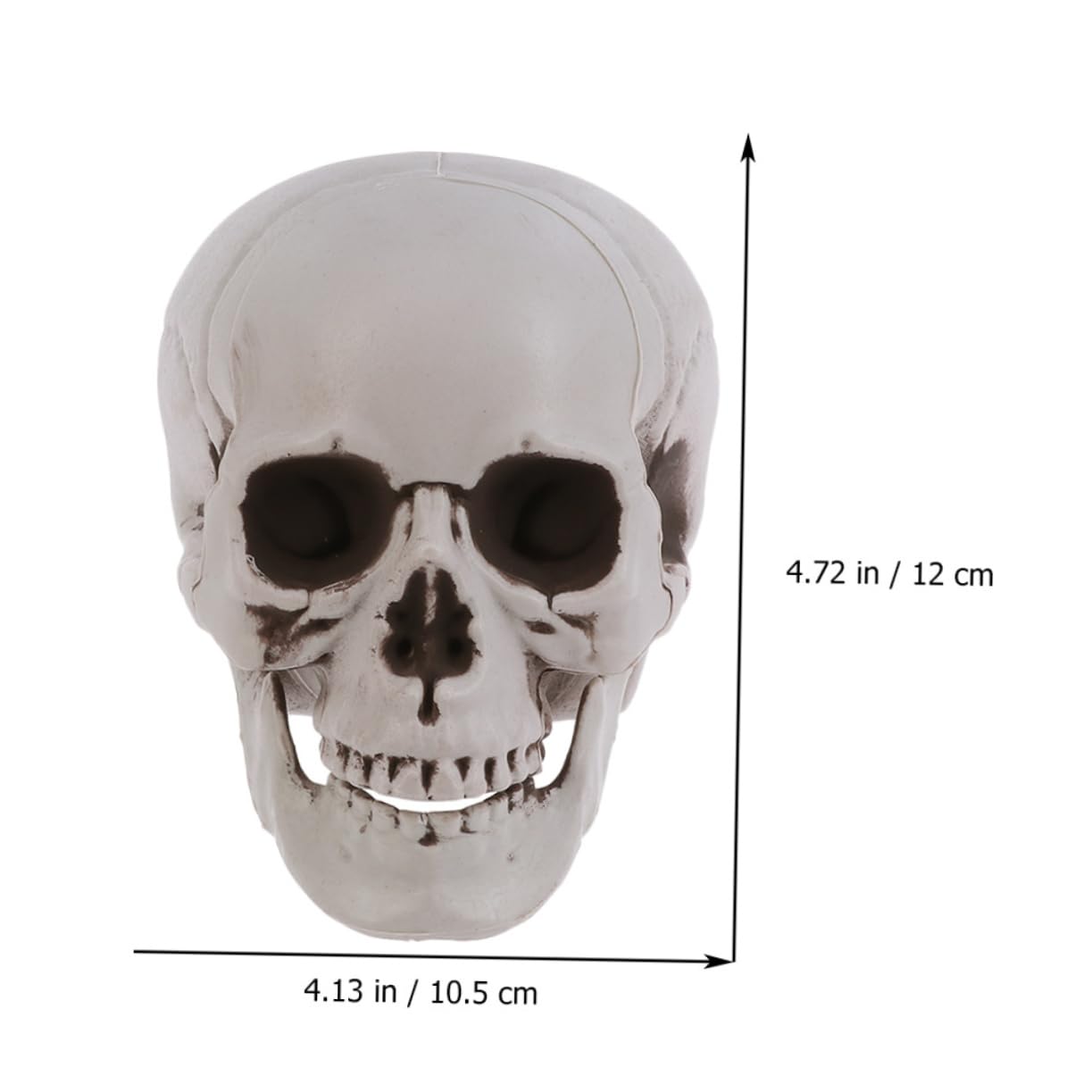 8 Piezas Calavera para Halloween, Esqueleto Realista para Fiestas y Escenarios de Fotos, Adorno de Plástico para Casa