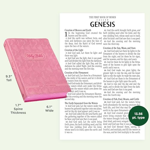 KJV Kids Bible, 40 Pages Full Color Study Helps, Presentation Page, Ribbon Marker, Holy Bible for Ch