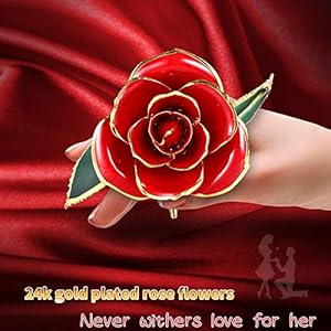 Valentines Day Gift Rose,24k Gold Real Rose Gift for her and Great Valentines Gift for her Rose, red Rose with Stand Valentines Day Gift Rose24k Gold Real Rose Gift for her and Great Valentines Gift for her Rose red Rose with Stand