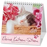  Kleine Katzen-Tatzen 2024: Postkarten-Kalender