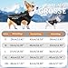 PcEoTllar Wasserdichter Hundemantel für kleine Hunde, warme reflektierende Jacke mit Geschirr für den Winter, Ski-Kostüm, Baumwolle, Hundepullover