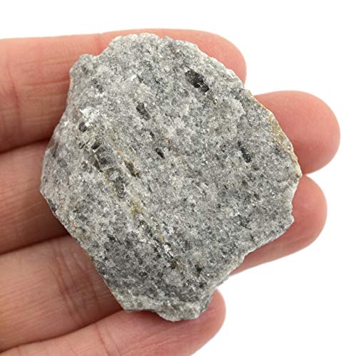 6Pk Raw Mica Schist, Metamorphic Rock Specimens - Approx. 1" - Geologist Selected & Hand Processed - Great For Science Classrooms - Class Pack - Eisco Labs #TOP2