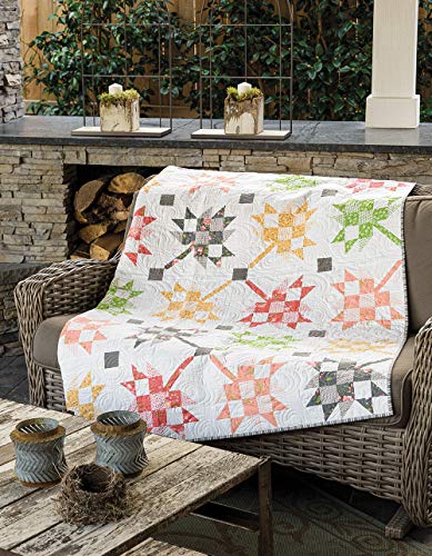 Checks Mix Quilts: Get the Gingham Look You Love With 8 Easy-to-piece Patterns