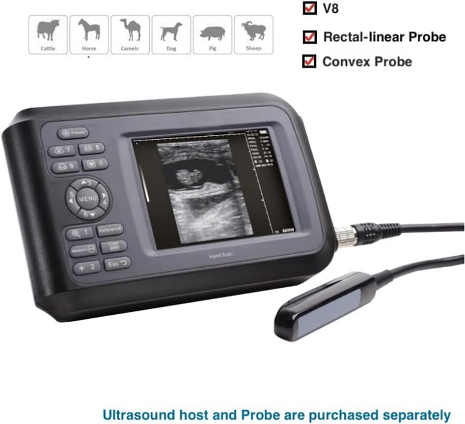 チェンソーマン クロロ 鬼滅の刃 金木研 鳴海弦 呪術廻戦 フィギュア