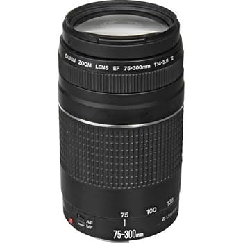 Amazon.com : Canon EF 75-300mm f/4-5.6 III Telephoto Zoom