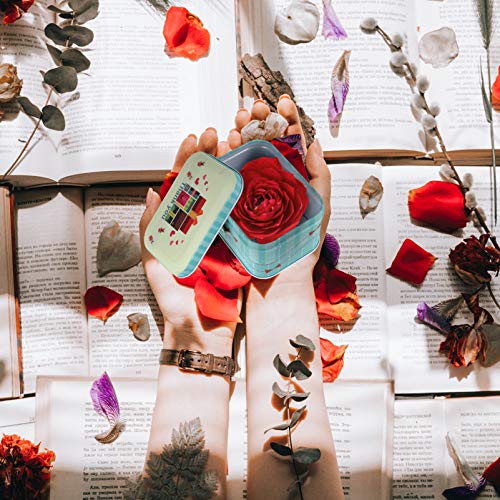 2 Caixas De Peças Caixa De Embalagem Recipiente De Doces De Aniversário Caixa De Doces De Folha De F