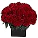 Nearly Natural 1372-RD Carnation Arrangement with Vase, Red