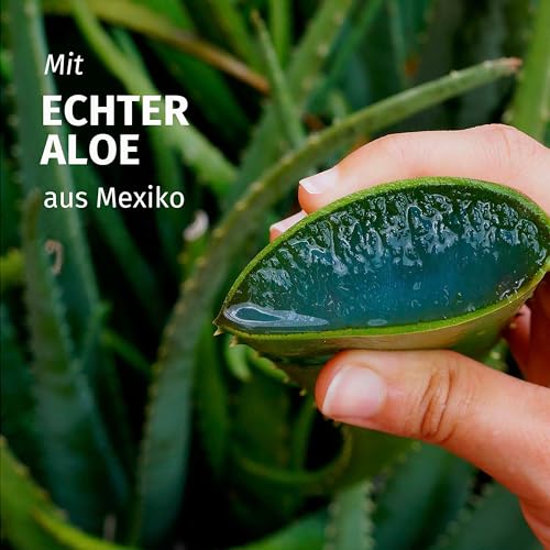 Herbal Essences Feuchtigkeits Shampoo mit Aloe und Jasminduft 350ml. Von sehr trockenem zu glänzenden Haar, Ohne Silikone, ohne sulfatierte Tenside, Mit Inhaltsstoffen natürlichen Ursprungs, Vegan