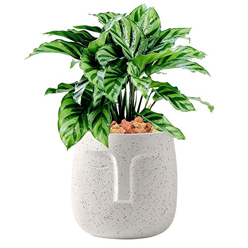 Terracotta Plant Pot, 5.5 inch Unglazed Modern Human Face Vase Succulent Head Planter Pot Indoor Pottery Flower Clay Bonsai Containers with Drainage Holes /Saucer (White)