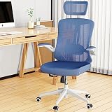balmstar Ergonomic Office Chair, Home Office Desk Chair with Adjustable Headrest & Lumbar Support, S