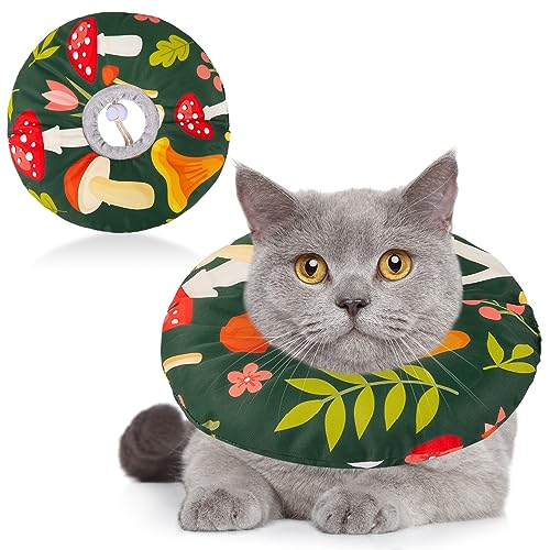 Cat Cones The 15 best products compared Wild Explained
