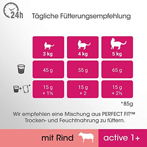 Perfect Fit Active 1+ – Trockenfutter für erwachsene, aktive Katzen ab 1 Jahr – Reich an Rind – Unterstützt die Vitalität – 4 x 1,4 kg