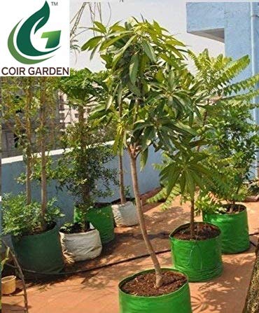 COIR GARDEN Terrace Gardening HDPE Grow Bags (Bigger Sizes, 24x24 inches) - Pack of 2 4