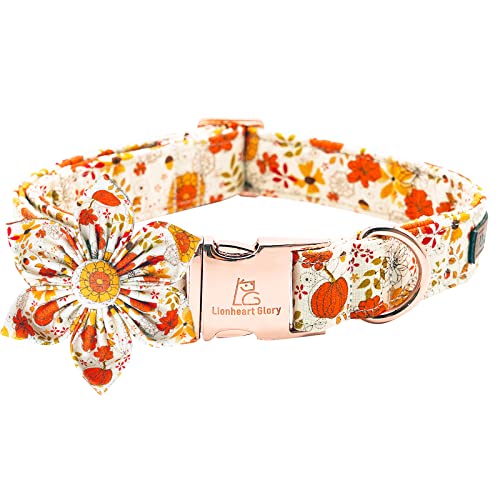 Best Fall Collars For Dogs